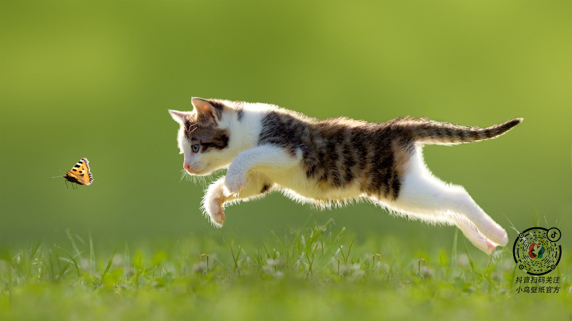 国足对阵强队丢球类型整理,国足输过哪些弱队